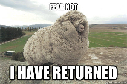 Fear not I have returned  Shrek the Sheep