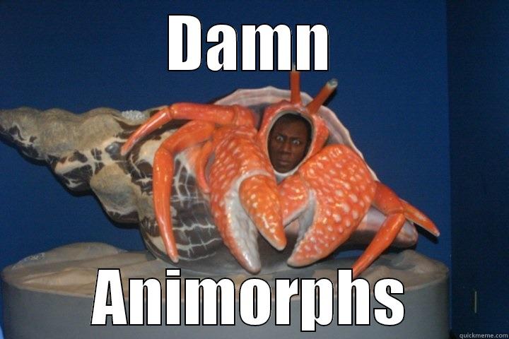 DAMN ANIMORPHS Misc