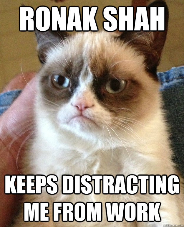 Ronak Shah Keeps Distracting me from work - Ronak Shah Keeps Distracting me from work  Grumpy Cat