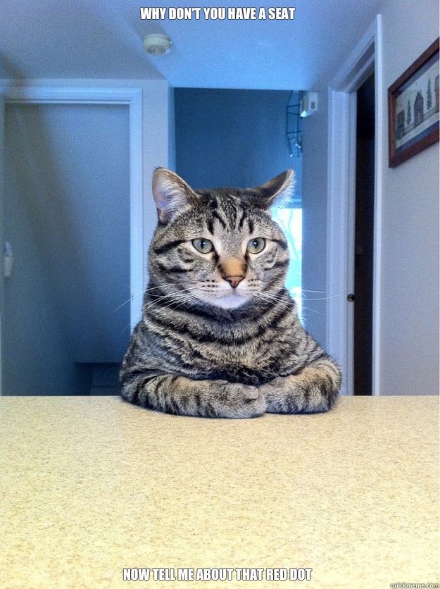 Why don't you have a seat Now tell me about that red dot - Why don't you have a seat Now tell me about that red dot  Chris Hansen Cat