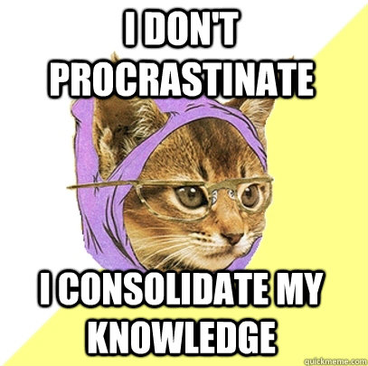 I don't procrastinate I consolidate my knowledge  Hipster Kitty