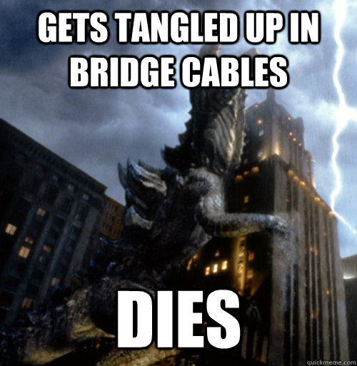 Gets tangled up in bridge cables dies  
