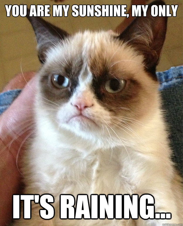 You are my sunshine, my only It's raining...  Grumpy Cat