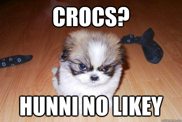 Crocs? Hunni no likey  Angry dog