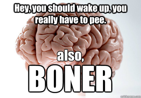 Hey, you should wake up, you really have to pee. also,
 BONER - Hey, you should wake up, you really have to pee. also,
 BONER  Scumbag Brain