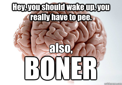 Hey, you should wake up, you really have to pee. also,
 BONER  Scumbag Brain