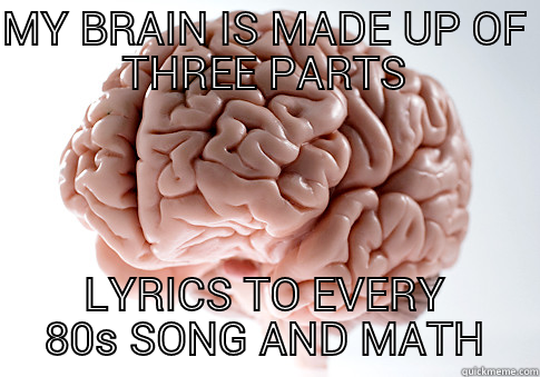 MY BRAIN IS MADE UP OF THREE PARTS LYRICS TO EVERY 80S SONG AND MATH Scumbag Brain