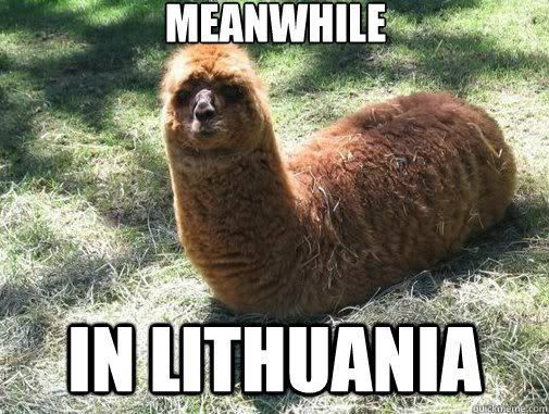 Meanwhile In lithuania  Alpacapillar