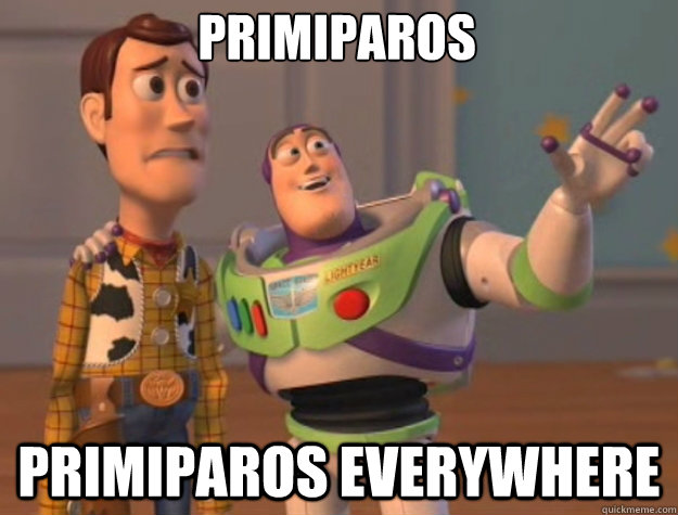primiparos primiparos everywhere  toystory everywhere