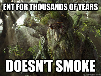 ent for thousands of years doesn't smoke - ent for thousands of years doesn't smoke  Sad Wise Ent