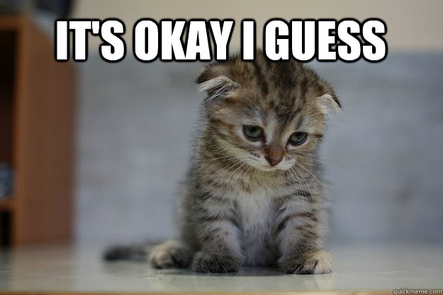 It's okay I guess   Sad Kitten