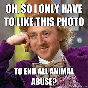 Oh, so I only have to like this photo  to end all animal abuse?  Condescending Wonka