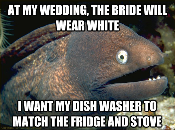 At my wedding, The bride will wear white I want my dish washer to match the fridge and stove  Bad Joke Eel