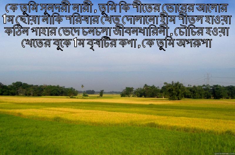 কে তুমি সুনদরী নারী , তুমি কি শীতের ভোরের আলোর 1ম ছোয়া নাকি শরিষার খেত দোলানো হীম শীতল হাওয়া কঠিন পাহার ভেদে চনচলা জীবনধারিনী , চৌচির হওয়া খেতের বুকে 1ম বৃষটির কণা , কে তুমি অপরূপা  Misc