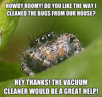 howdy roomy! do you like the way i cleaned the bugs from our house? hey thanks! the vacuum cleaner would be a great help!  Misunderstood Spider