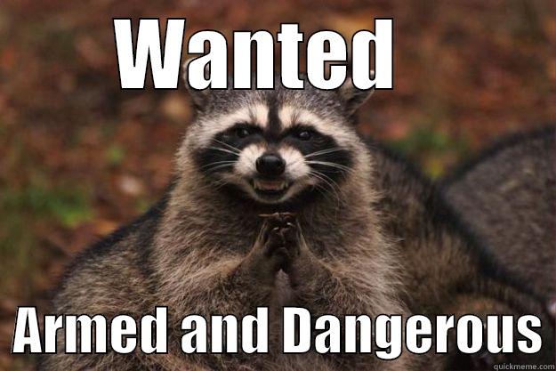 WANTED     ARMED AND DANGEROUS Evil Plotting Raccoon