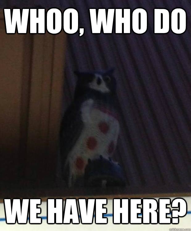 Whoo, who do we have here? - Whoo, who do we have here?  Misc