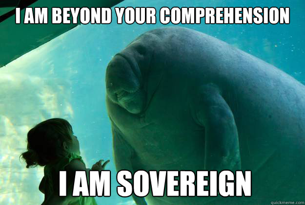 I am beyond your comprehension  I am Sovereign  Overlord Manatee