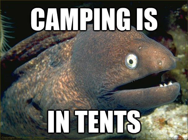 Camping is In tents  Bad Joke Eel