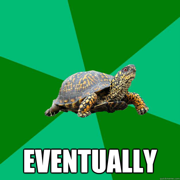  eventually  Torrenting Turtle
