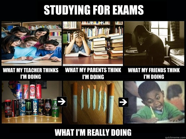 Studying for Exams What my teacher thinks I'm doing What my parents think I'm doing What my friends think I'm doing what i'm really doing  