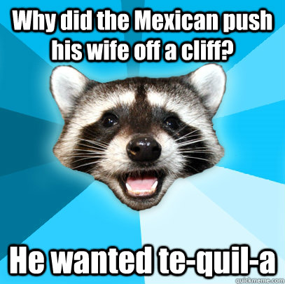 Why did the Mexican push his wife off a cliff? He wanted te-quil-a  Lame Pun Coon