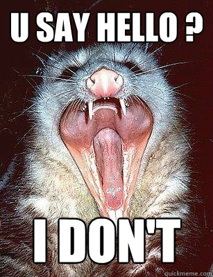 U SAY HELLO ? I DON'T  The Angry Possum