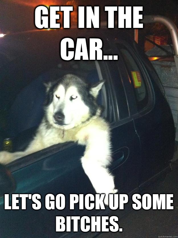Get in the car... Let's go pick up some
Bitches.    Mean Dog