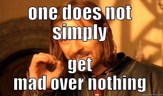 ONE DOES NOT SIMPLY GET MAD OVER NOTHING Boromir