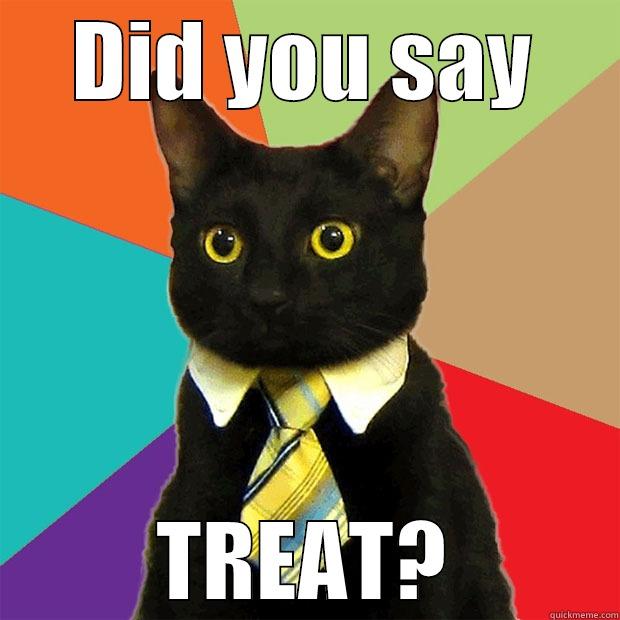 DID YOU SAY TREAT? Business Cat
