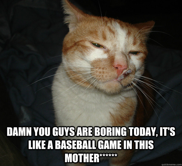  Damn you guys are boring today, it's like a baseball game in this Mother******  Good Guy Cat