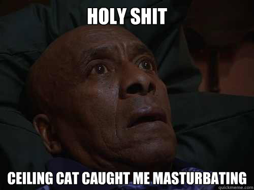 Holy Shit ceiling cat caught me masturbating  Bedtime Realizations