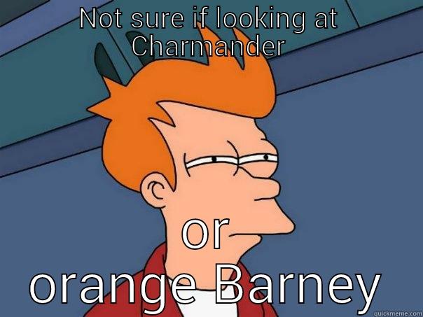 NOT SURE IF CHARMANDER OR ORANGE BARNEY Futurama Fry