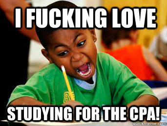 i fucking love  studying for the cpa!  