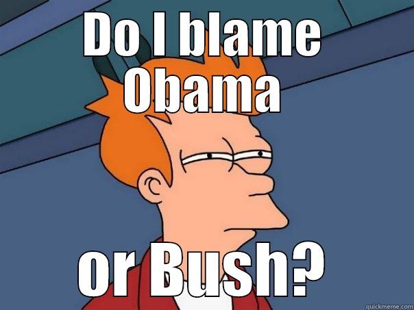 DO I BLAME OBAMA OR BUSH? Futurama Fry