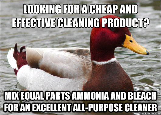 Looking for a cheap and effective cleaning product?
 Mix equal parts ammonia and bleach for an excellent all-purpose cleaner - Looking for a cheap and effective cleaning product?
 Mix equal parts ammonia and bleach for an excellent all-purpose cleaner  Malicious Advice Mallard