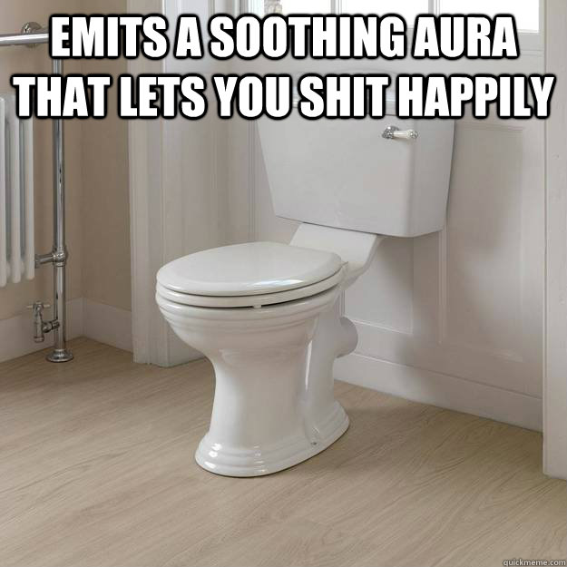 Emits a soothing aura that lets you shit happily   Good Guy Toilet