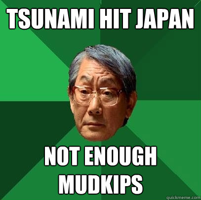 Tsunami hit Japan Not enough Mudkips  High Expectations Asian Father