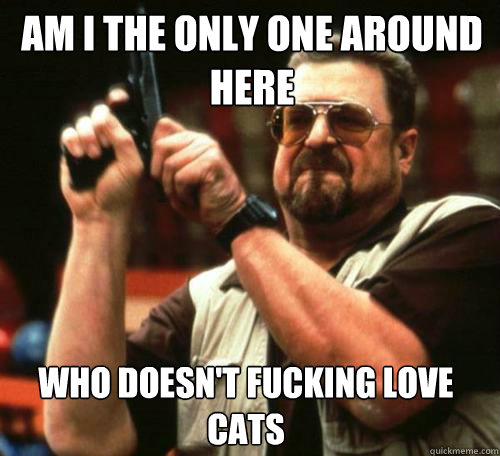 AM I THE ONLY ONE AROUND
HERE WHO DOESN'T FUCKING LOVE CATS - AM I THE ONLY ONE AROUND
HERE WHO DOESN'T FUCKING LOVE CATS  Misc