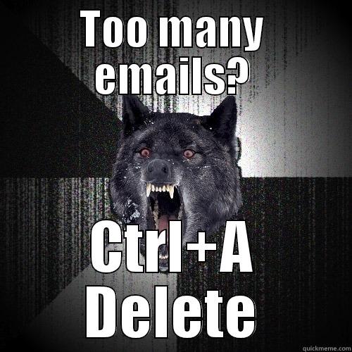 TOO MANY EMAILS? CTRL+A DELETE Insanity Wolf