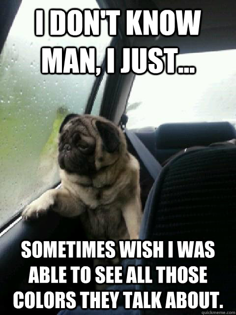 I don't know man, i just... sometimes wish i was able to see all those colors they talk about. - I don't know man, i just... sometimes wish i was able to see all those colors they talk about.  introspective pug on cesar millan