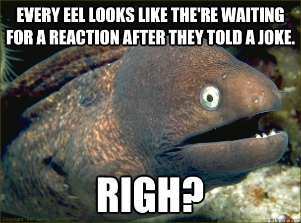 every eel looks like the'Re waiting for a reaction after they told a joke. righ?  Bad Joke Eel