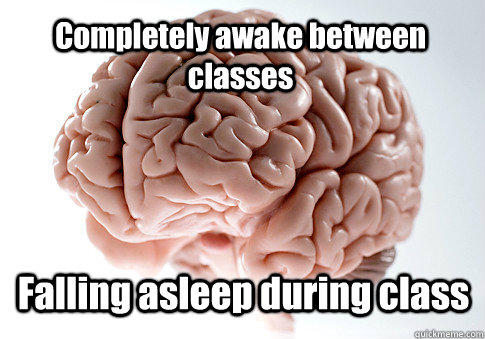 Completely awake between classes Falling asleep during class - Completely awake between classes Falling asleep during class  Scumbag Brain