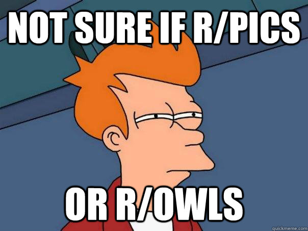 Not sure if r/pics Or r/owls  Futurama Fry