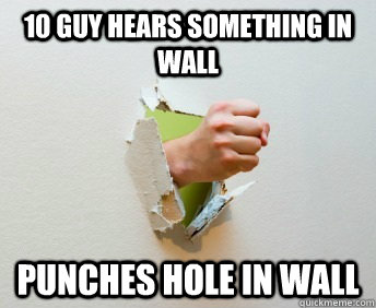 10 guy hears something in wall punches hole in wall  