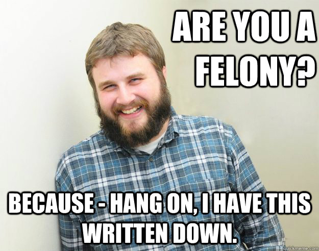 Are you a felony? Because - hang on, I have this written down. - Are you a felony? Because - hang on, I have this written down.  Happy Bearded Calvinist