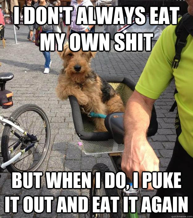 I don't always eat my own shit But when I do, I puke it out and eat it again  