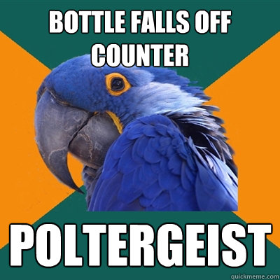 Bottle falls off counter Poltergeist  Paranoid Parrot