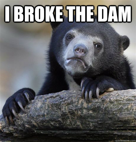 I broke the dam   Confession Bear