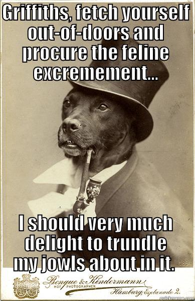 GRIFFITHS, FETCH YOURSELF OUT-OF-DOORS AND PROCURE THE FELINE EXCREMEMENT... I SHOULD VERY MUCH DELIGHT TO TRUNDLE MY JOWLS ABOUT IN IT.                                                         Old Money Dog